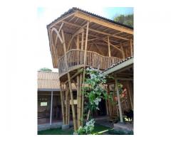 Bamboo house for rent