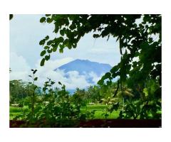 Joglo-Villa on freehold land