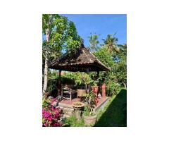 Joglo-Villa on freehold land