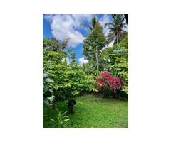Joglo-Villa on freehold land